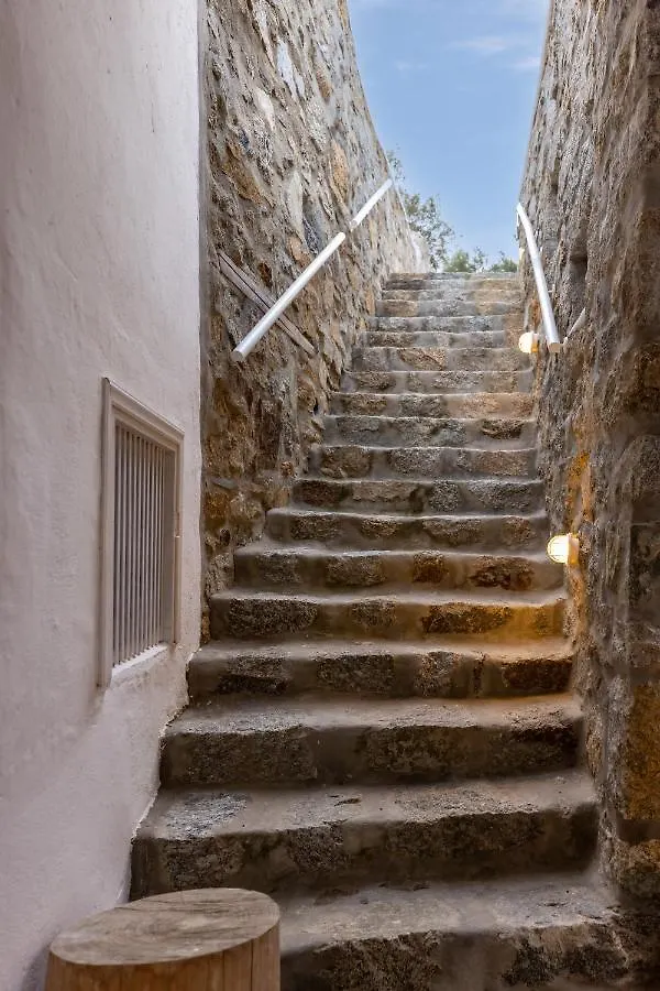 Mykonos Psarou Place 빌라 프사로우